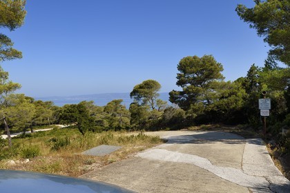 France, Var (83), Iles d'Hyères, Parc national de Port Cros, Ile du Levant, route dans la zone militaire