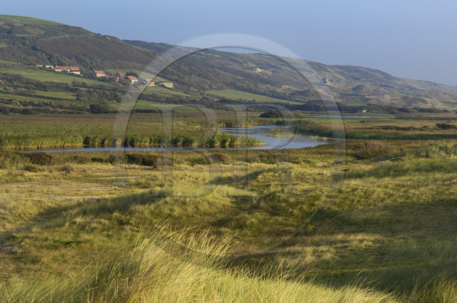 France, Manche (50), Cap de la Hague, dunes de l'anse de Vauville, la mare de Vauville