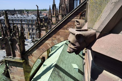 France, Bas Rhin, Strasbourg, old town listed as World Heritage by UNESCO, Notre Dame Cathedral, flying buttresses of the southern facade and gargoyles