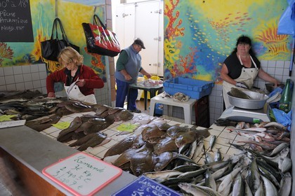 France, Seine-Maritime (76), Le Havre, port de pêche, marché aux poissons pratiquant la vente directe