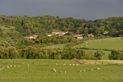 France, Meurthe-et-Moselle, Saintois region, colline de Sion-Vaudemont (hill of Sion) and the village of Saxon-Sion