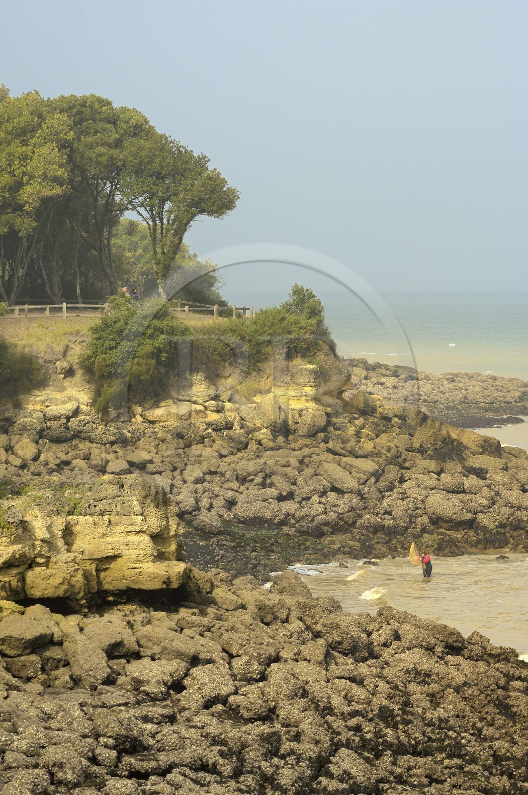 France, Charente-Maritime (17), Ile d'Aix, pêche à la treuille (pour les crevettes) plage des Sables Jaunes