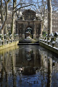France, Paris, Saint Michel district, the Luxembourg Gardens, la fontaine Medicis (Medicis fountain)