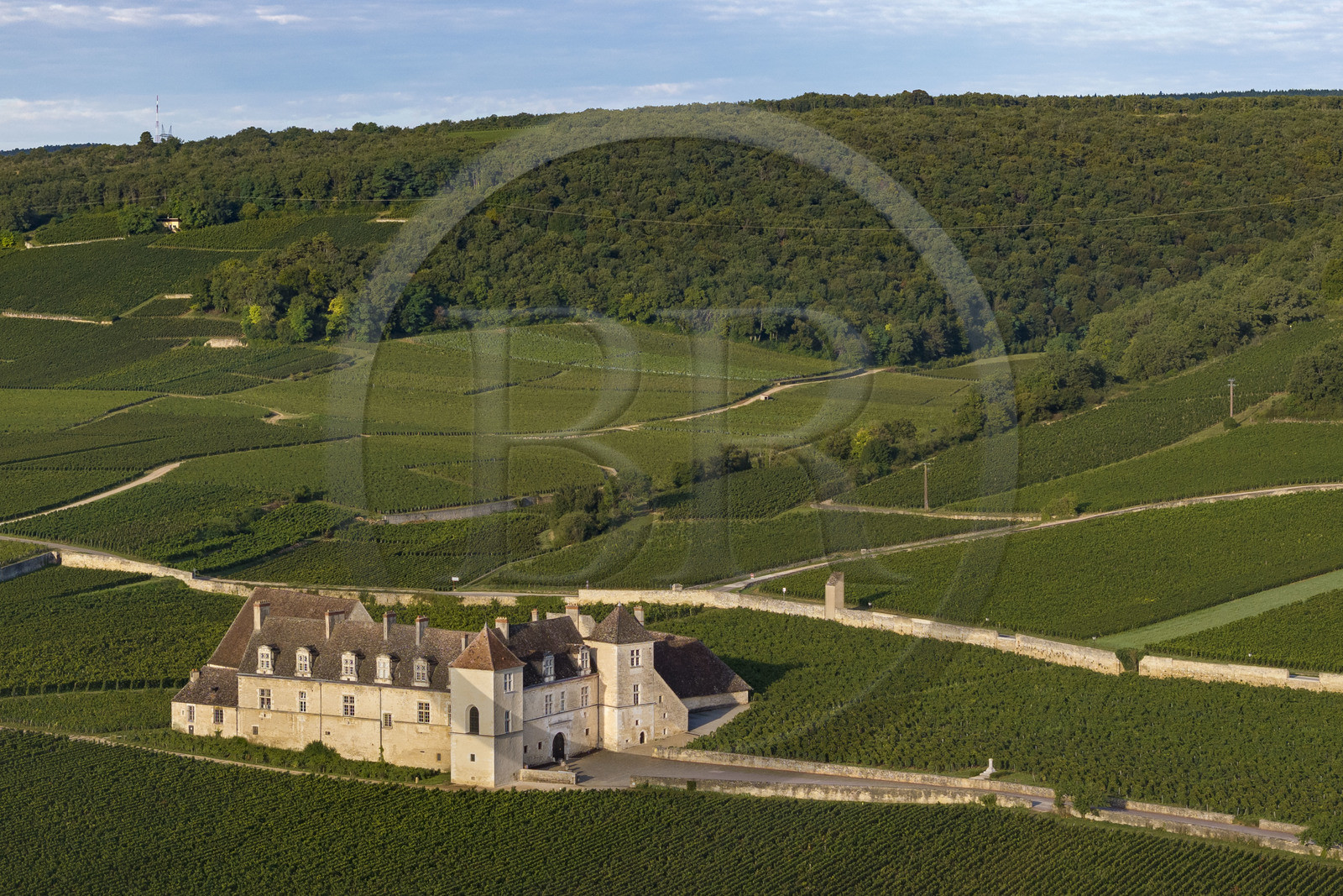 France, Côte-d'Or (21), Paysage culturel des climats de Bourgogne classés Patrimoine Mondial de l'UNESCO, Route des Grands Crus, vignoble de la Côte de Nuits, Vougeot, le Chateau du Clos de Vougeot entouré par le vignoble (vue aérienne)