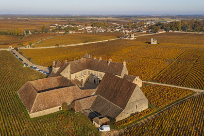 France, Cote d'Or, cultural Landscape of the climates of Burgundy listed as World Heritage by UNESCO, Vougeot, Route des Grands Crus (road of Vintage Wines), the vineyard and the Chateau du Clos de Vougeot (aerial view)