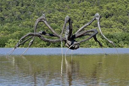 France, Bouches du Rhone,  Le Puy Sainte Reparade, Chateau La Coste vineyard and contemporary art center, Crouching Spider 6695 by Louise Bourgeois (Mention Obligatoire)