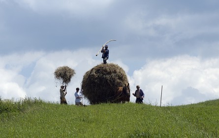 Pologne, Petite Pologne, Carpates, famille de paysans faisant les foins vers le village de Debno