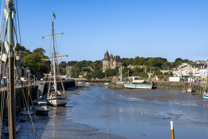 France, Loire-Atlantique (44), Pornic, le port à marée basse et le château en arrière plan