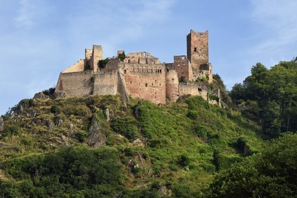 France, Haut Rhin, the Alsace Wine Route, Ribeauville, Saint Ulrich Castle, residence of Ribeaupierre until the 15th century