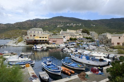 France, Haute Corse, Cap Corse, Centuri, the fishing harbour