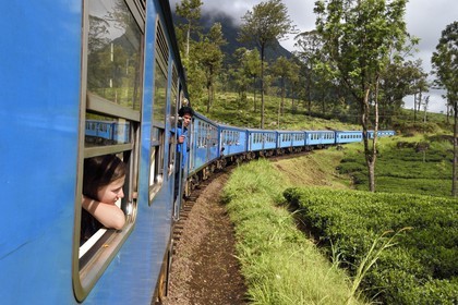 Sri Lanka, Province du Centre, trajet en train dans la région montagneuse de la culture du thé entre Hatton et Ella, plantations de thé dans la région de Watagoda