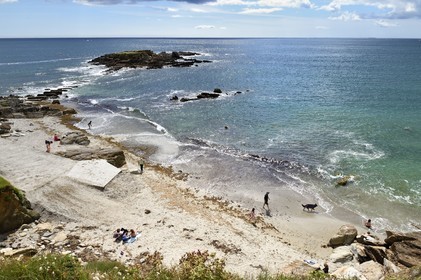 France, Finistere (29), Moelan sur Mer, the coast between Kerfany les Pins and the beach of Trenez along the GR 34 hiking trail or sentier des douaniers (customs trail), Ile Percée in the background