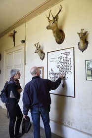 France, Charente-Maritime, Saintonge, Port-d'Envaux, Chateau de Panloy, the manager Sylvain Fougerit presents the family tree of the House of Grailly in the hunting gallery with the trophies