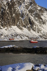 Norvège, Nordland, Iles Lofoten, le port de Svolvaer, retour d'un bateau de pêche