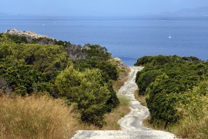 France, Var (83), Iles d'Hyères, Parc national de Port Cros, Ile du Levant, zone militaire, la route au Nord Est vers la Pointe de la Rovère