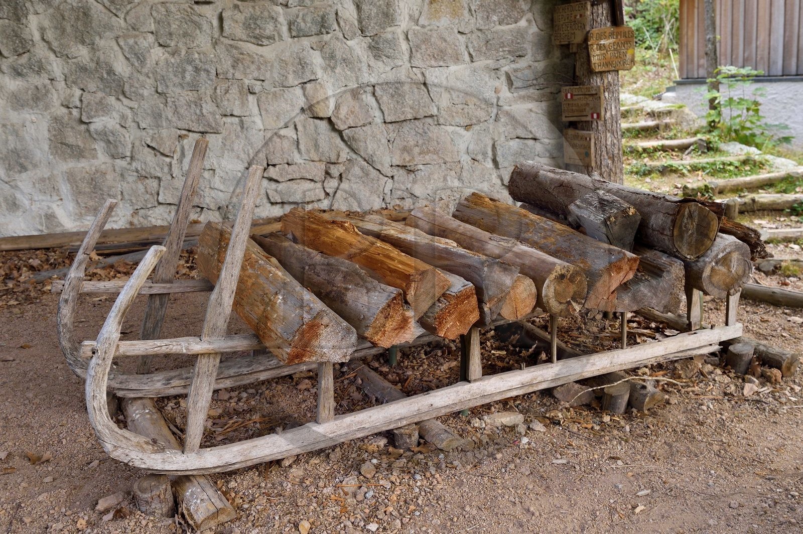 France, Haut-Rhin (68), Thannenkirch, randonnée dans le massif du Taennchel, ancienne carrière de granit dans la foret de Bergheim, ancienne schlitte, traineau qui a l'aspect d'une grosse luge à l'armature légère et assez souple, généralement en bois