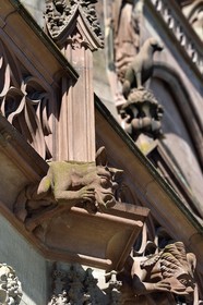 France, Bas-Rhin (67), Strasbourg, vieille ville classée au Patrimoine Mondial de l'UNESCO, la cathédrale Notre-Dame, gargouilles sur la facade sud, ane