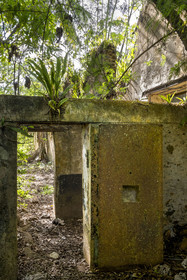 France, Guyane, Kourou, Iles du Salut, l'Ile Saint-Joseph, ruine du bagne consacré à la réclusion des prisonniers les plus difficiles