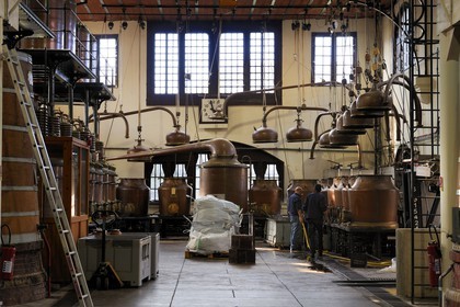 France, Seine Maritime, Pays de Caux, Cote d'Albatre, Fecamp, Benedictine Palace, the distillery with its hammered copper stills of the Benedictine herbal liquor