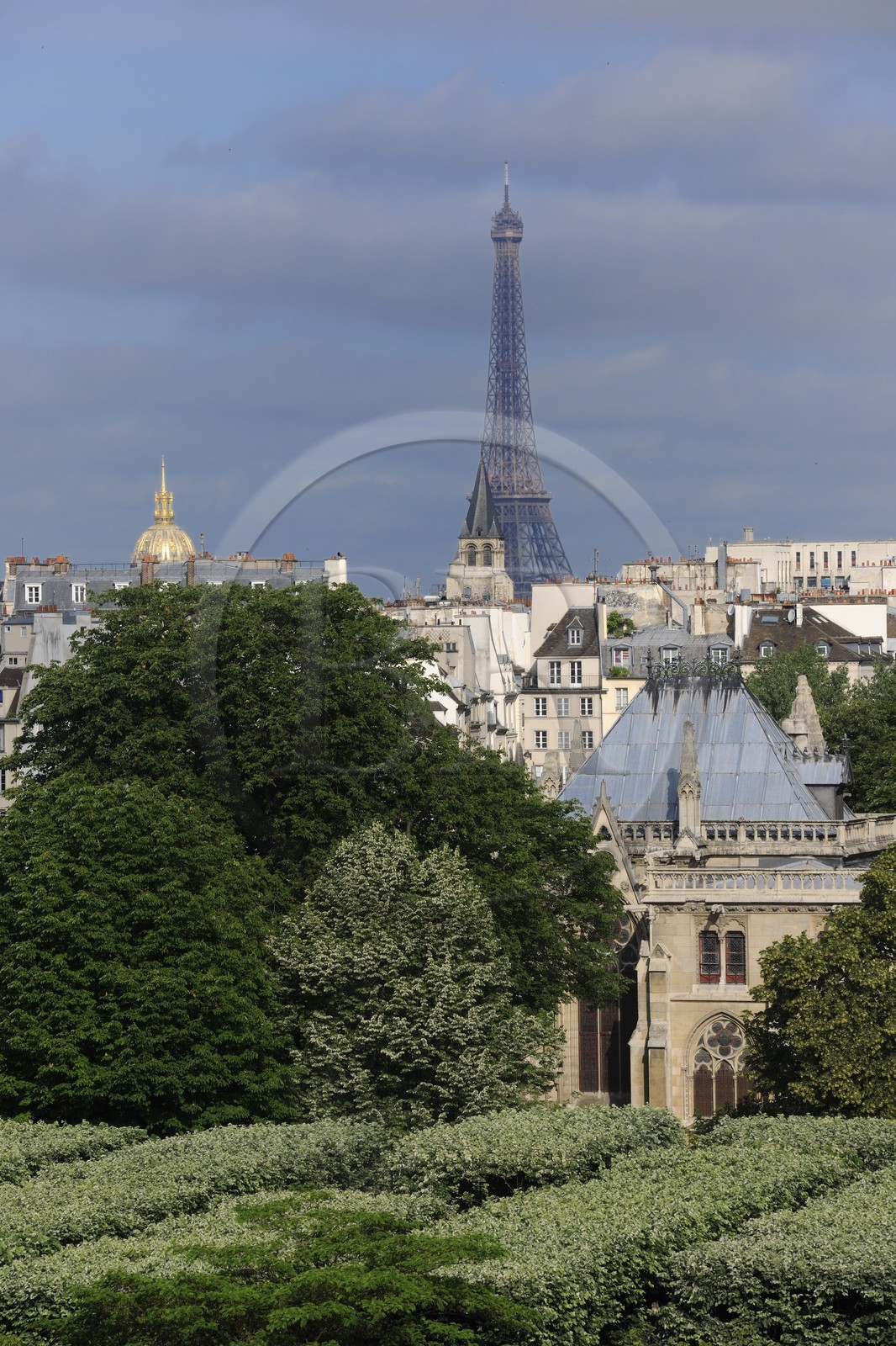 France, Paris (75), la tour Eiffel et un des bâtiments de la cathédrale Notre Dame au premier plan