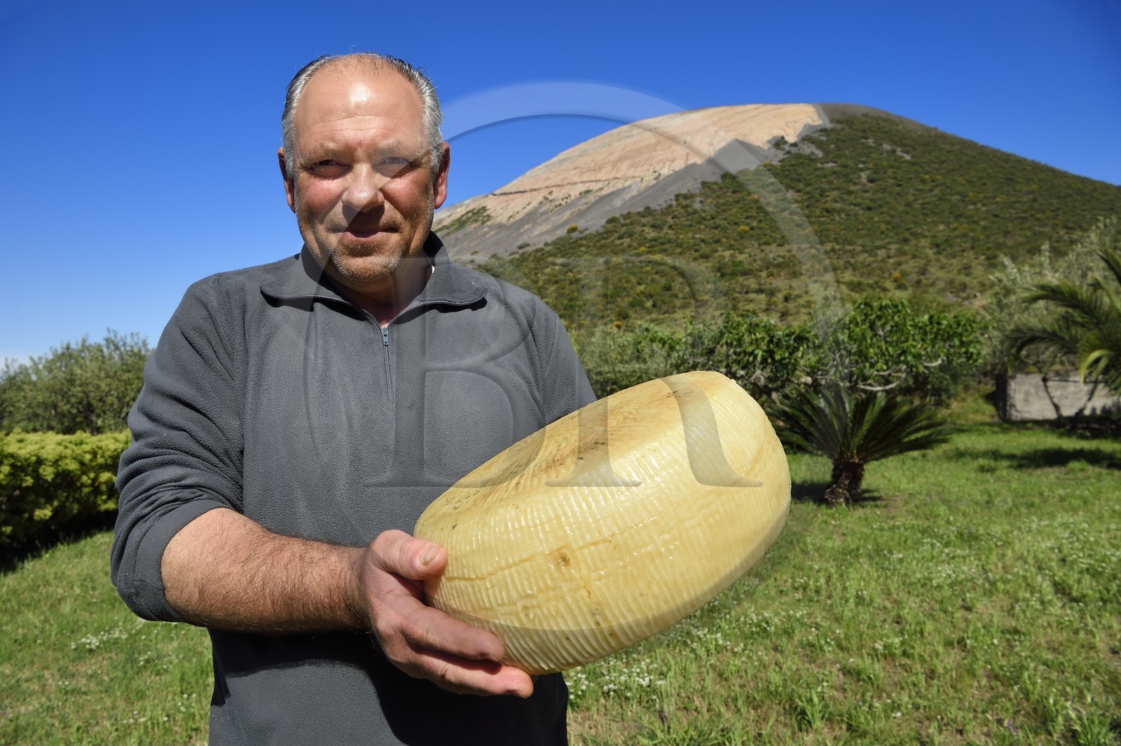 Italie, Sicile, iles Eoliennes, classées Patrimoine Mondial de l'UNESCO, ile de Vulcano, La Vecchia Fattoria, le berger et fromager de chèvre Fabrizio Lo Piccolo au pied du volcan