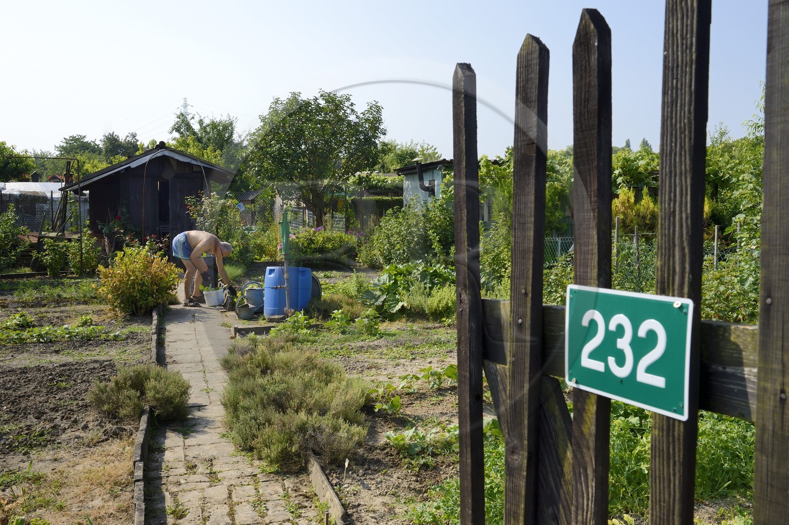 France, Bas-Rhin (67), Strasbourg, quartier de la Robertsau, jardins ouvriers France, Bas-Rhin (67), Strasbourg, quartier de la Robertsau, jardins ouvriers