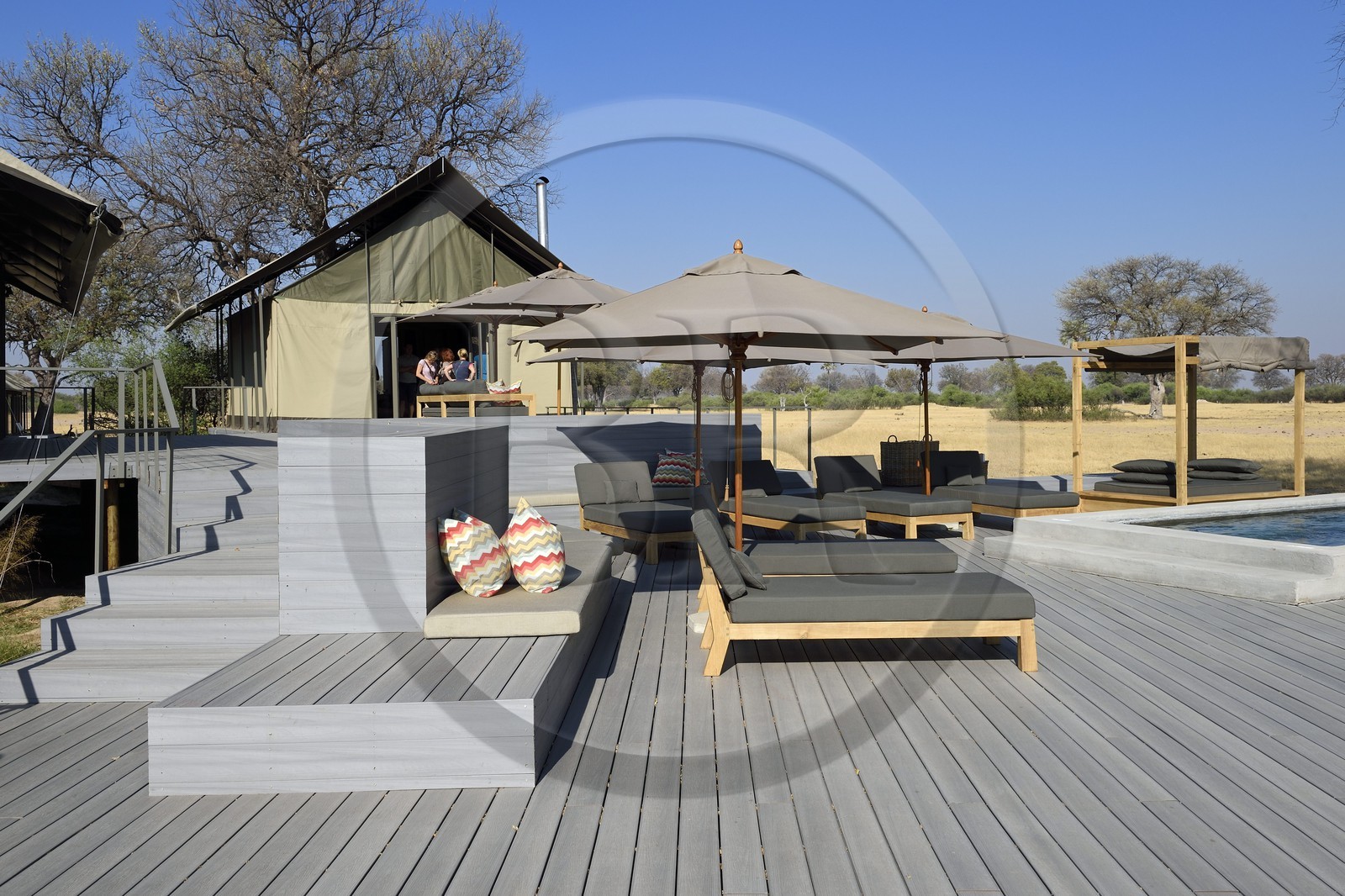 Zimbabwe, province de Matabeleland septentrional, parc national Hwange, Wilderness Safaris Linkwasha Camp