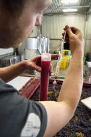 France, Haut-Rhin (68), Route des vins d'Alsace, Bergheim, Domaine viticole Marcel Deiss, fermentation du raisin dans une grande cuve, mustimètre, densimètre utilisé par les viticulteurs pour évaluer le taux d'alcool probable de leur vin
