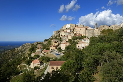 France, Haute Corse, Balagne, perched village of Speloncato