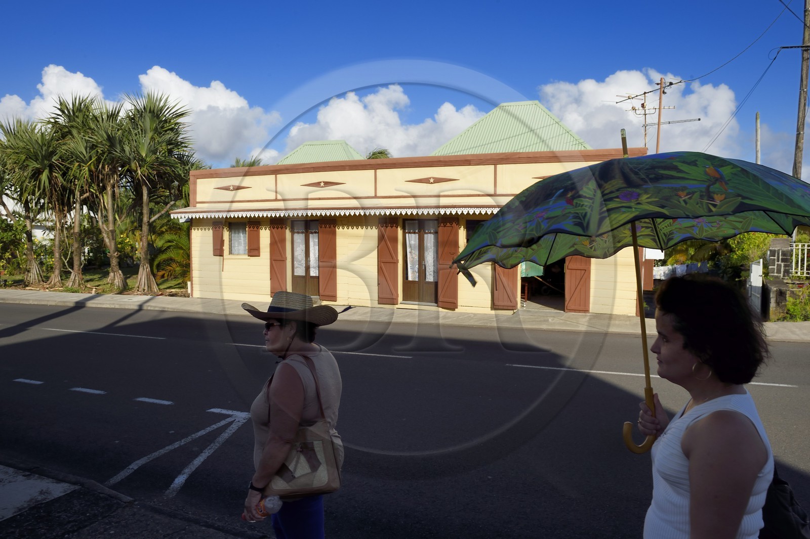 France, Ile de la Reunion, Côte Sud, Sainte-Philippe, case créole traditionnelle