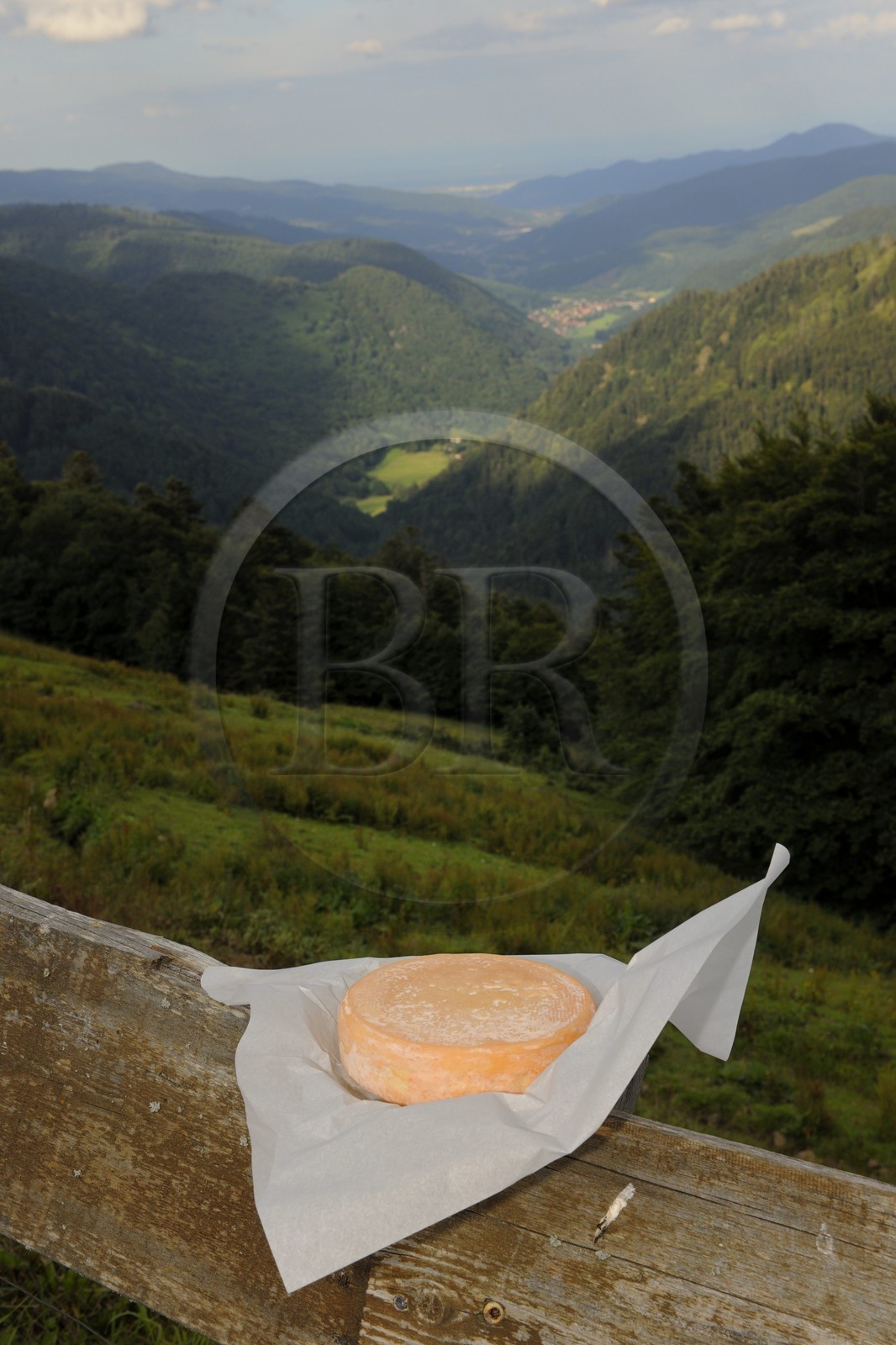 France, Haut-Rhin (68), la route des Crêtes vers Metzeral, ferme marcaire de Steinwasen, munster fermier