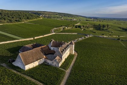 France, Cote d'Or, cultural Landscape of the climates of Burgundy listed as World Heritage by UNESCO, Route des Grands Crus (road of Vintage Wines), vineyard of the Côte de Nuits, Vougeot, the Chateau of Clos de Vougeot surrounded by vineyards (aerial view)