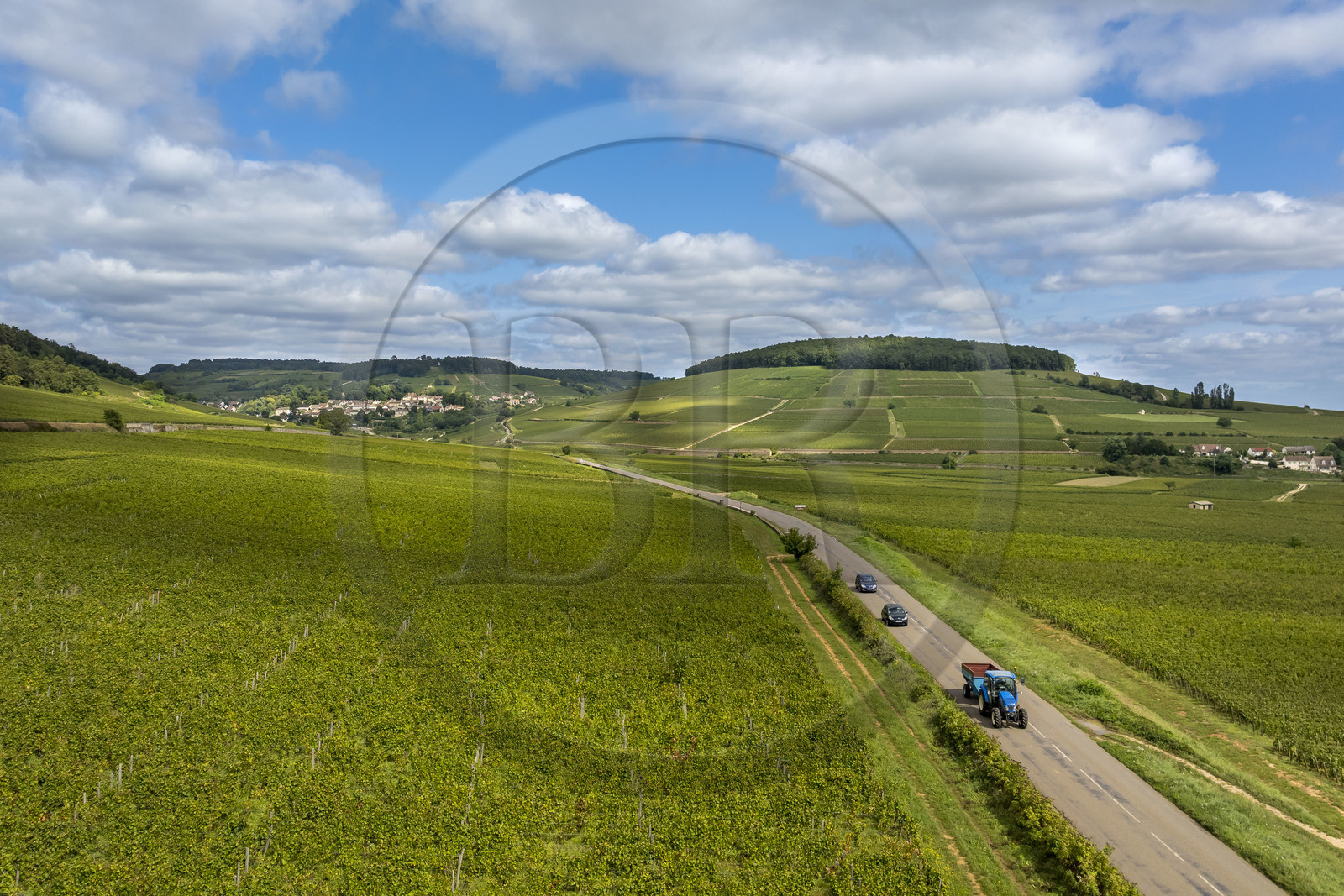 France, Côte-d'Or (21), les climats de Bourgogne classés Patrimoine Mondial de l'UNESCO, Route des Grands Crus, vignoble de la Côte de Beaune, Pernand-Vergelesses, le village et la colline de Corton en arrière plan (vue aérienne)