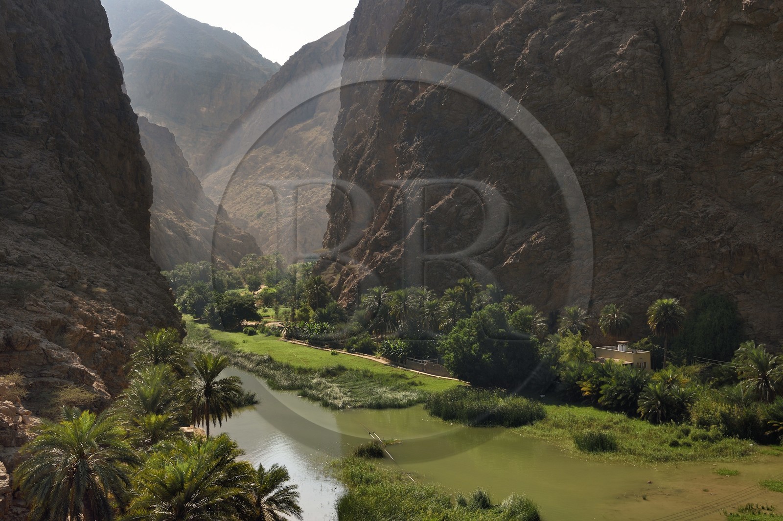 Sultanat d'Oman, région d'Ash Sharqiyah, Tiwi, l'entrée du canyon du Wadi ash Shab