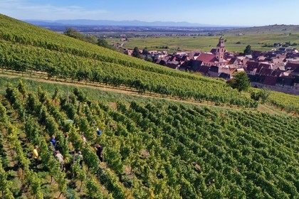 France, Haut-Rhin (68), Route des vins d'Alsace, Riquewihr, labellis