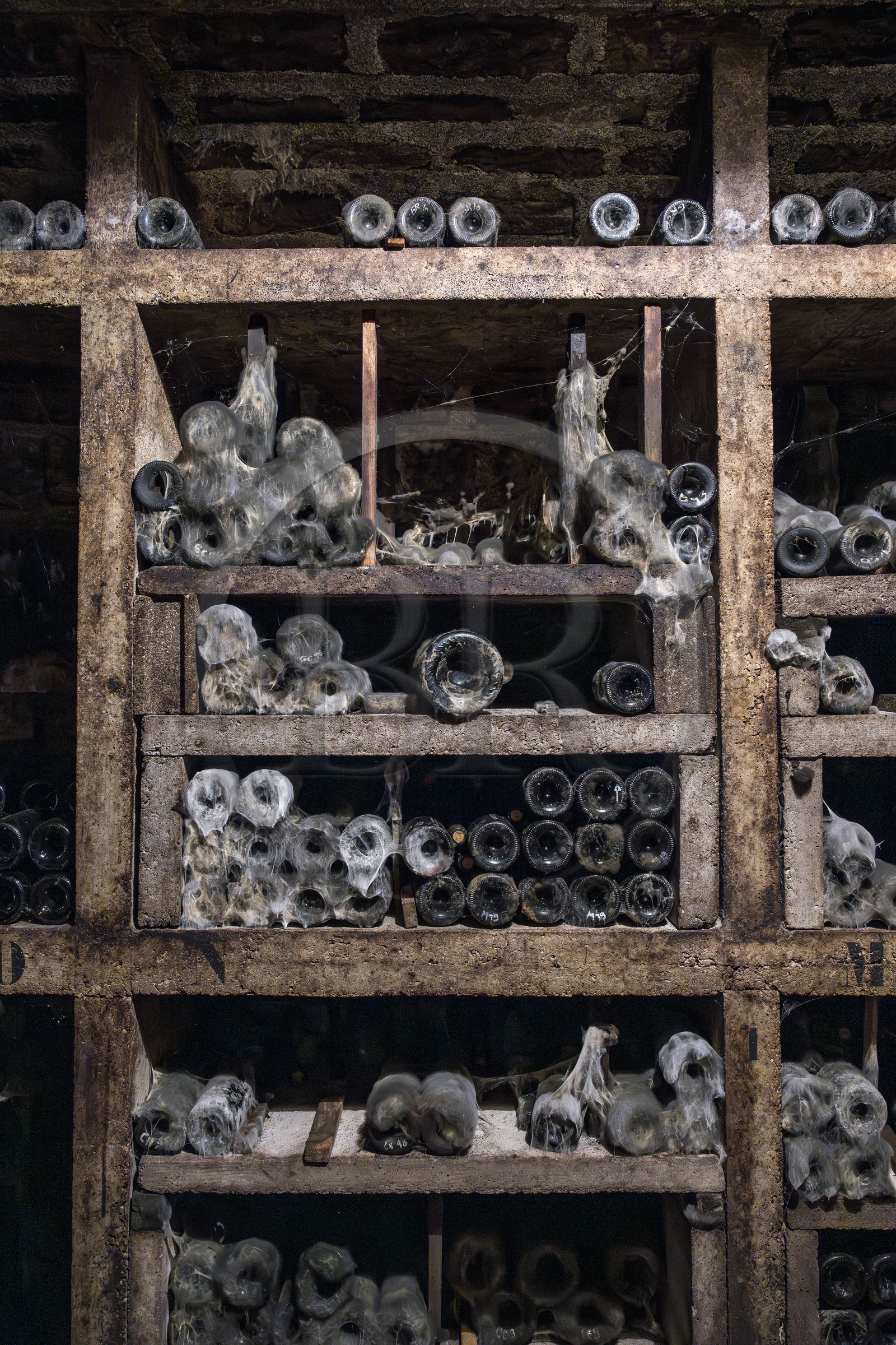 France, Côte-d'Or (21), Paysage culturel des climats de Bourgogne classés Patrimoine Mondial de l'UNESCO, Route des Grands Crus, vignoble de la Côte de Nuits, Gevrey-Chambertin, Domaine Dugat, cave à vin