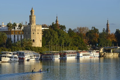 Spain, Andalusia, Seville, Guadalquivir river Banks, the Golden Tower (Torre del Oro), former military watch tower built at the beginnings of the 13th century converted to a Maritime Museum