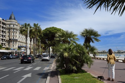 France, Alpes-Maritimes, Cannes, the Carlton palace on the boulevard de la Croisette