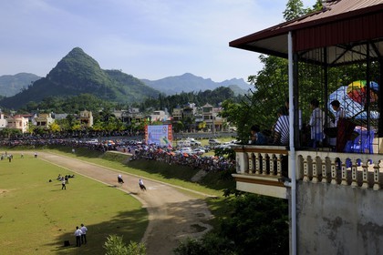 Vietnam, Lao Cai province, Bac Ha, annual race of horses