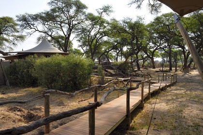 Zimbabwe, province de Matabeleland septentrional, parc national Hwange, Somalisa Camp de African Bush Camps
