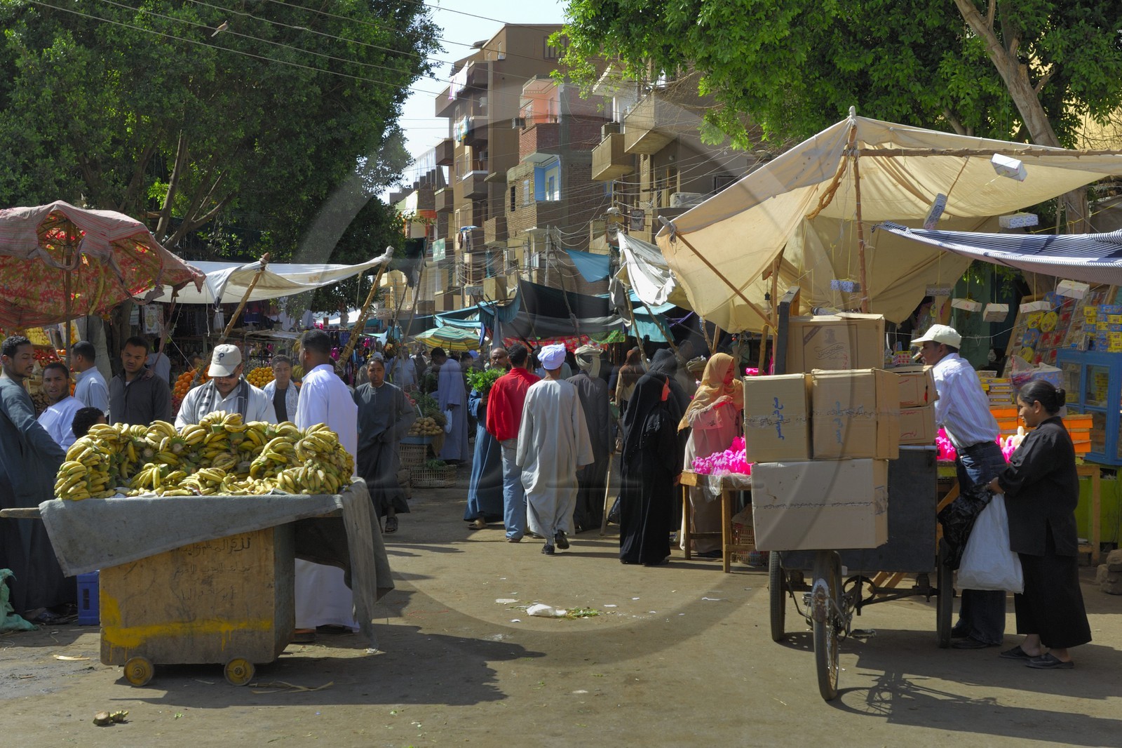 Egypte, Haute Egypte, vallée du Nil, Edfou, le marché