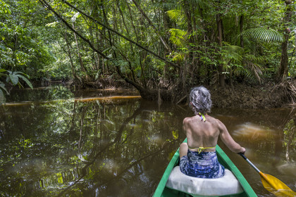 France, French Guiana, Kourou, Maripas camp in the rainforest, canoe trip to discover a crique (creek), a small river, tributary of the Kourou River