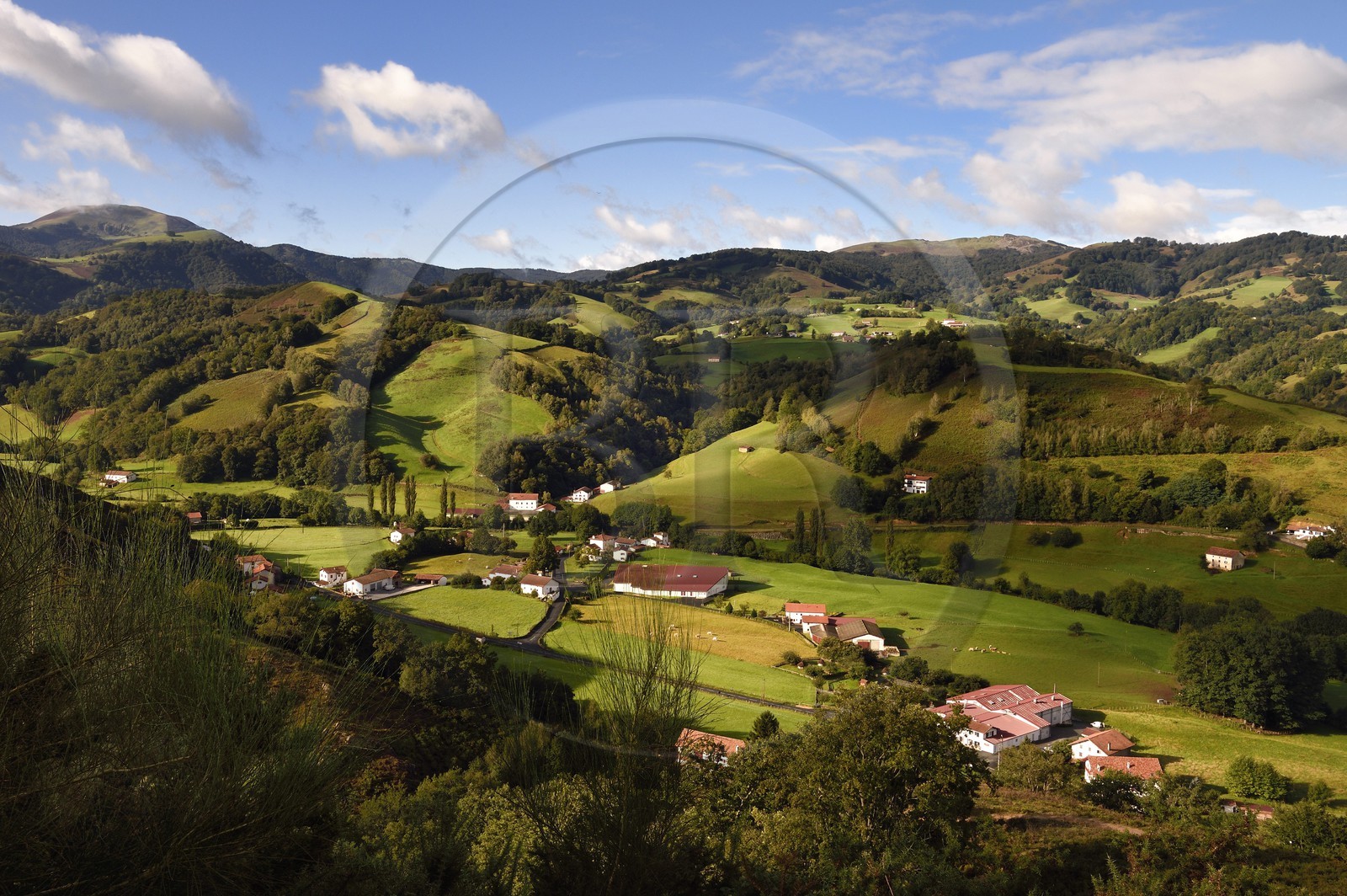 France, Pyrénées-Atlantiques (64), Pays-Basque, vallée des Aldudes, élevage Pierre Oteiza de porcs basques de race pie noir en bas à droite et le mont Ahadi en arrière plan gauche