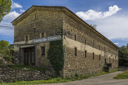 France, Gard, Monoblet, Atelier Sericyne silk farm is relaunching French sericulture, breeding silkworms and producing exceptional non-woven silk for the production of decorative objects