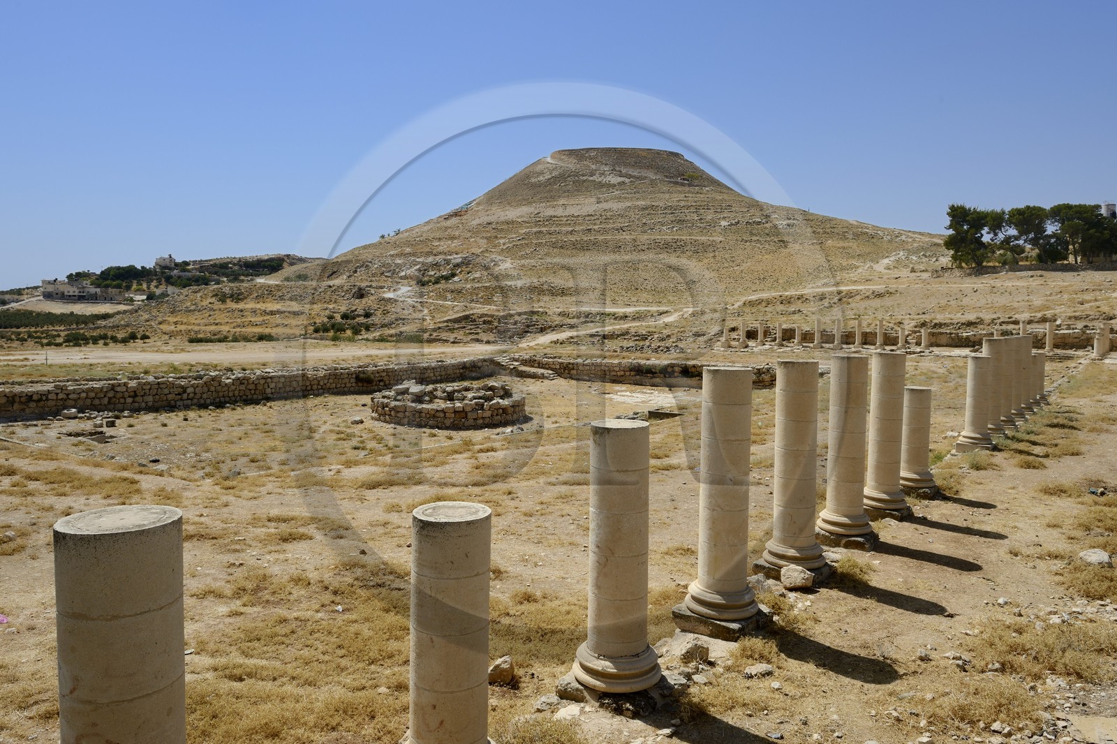 Israel, Cisjordanie, l'Hérodion, colline artificiellement exhaussée qui abrite les ruines d'un palais fortifié construit par le roi Hérode Ier le Grand (site classé Parc National), vestiges du palais de l'Hérodion inférieur et de son bassin
