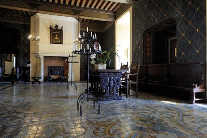 France, Loir et Cher, Loire Valley, listed as World Heritage by UNESCO, Chaumont sur Loire castle, Council Room