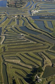 France, Charente-Maritime (17), Ile d'Oléron, Claires sur la côte est au nord de Château-d'Oléron (vue aérienne)