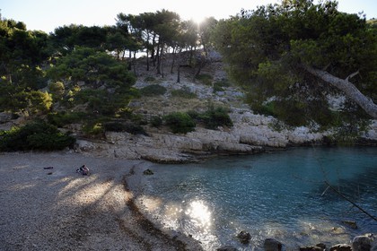 France, Bouches du Rhone, Marseille, National Park of the Calanques, Calanque de Port Pin (cove) beach (request for authorization necessary before publication)