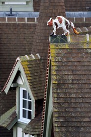 France, Calvados, Pays d'Auge, Deauville, Normandy Barriere Hotel, finial (hip-knob) representing a cat, typical on the rooftops of the Pays d'Auge