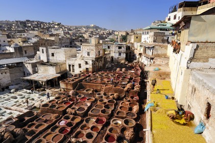 Maroc, Moyen Atlas, Fès, ville impériale, médina classée Patrimoine Mondial de l'UNESCO, Fès el Bali, quartier des tanneurs, Chouara